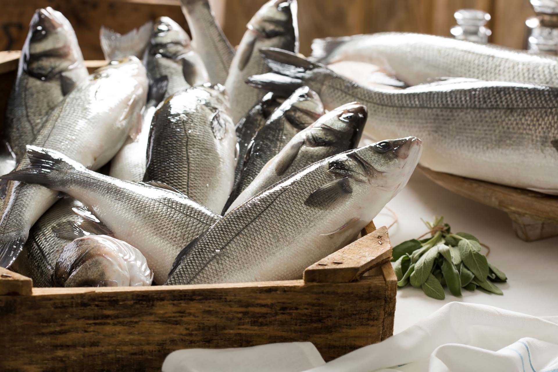 Kefalonia Fisheries / Seafood Products - Organic Sea Bass