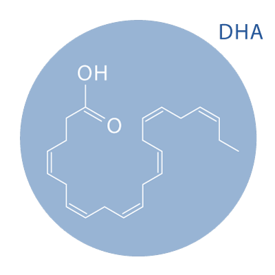 DHA docosahexaenoic acid