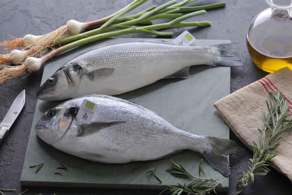 Kefalonia Fisheries - Organic Sea bass & Sea bream - Premium Quality for healthy Mediterranean diet.