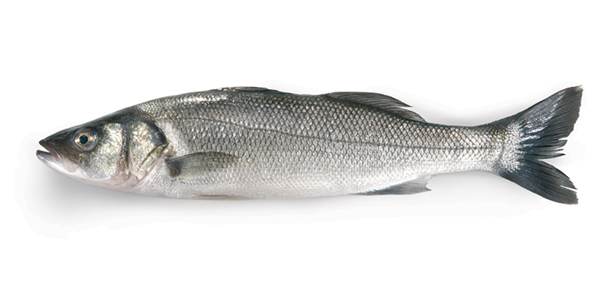 Kefalonia Fisheries Products | Organic Sea Bass