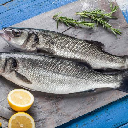 Kefalonia Fisheries / Organic Fish Farming - Sea Bass